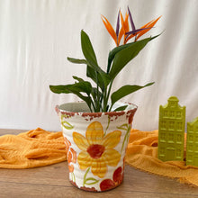 Lade das Bild in den Galerie-Viewer, Blumentopf Flower Mix
